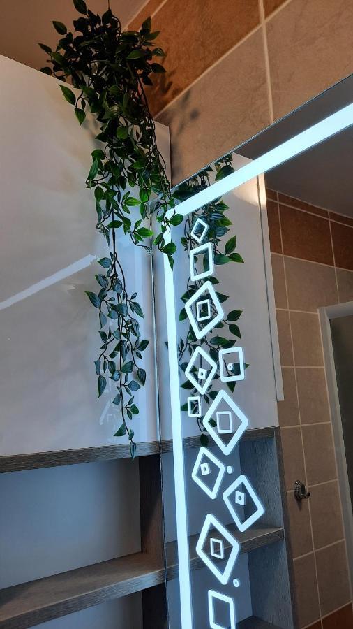 Apartman Modena Lux Vrnjačka Banja Dış mekan fotoğraf