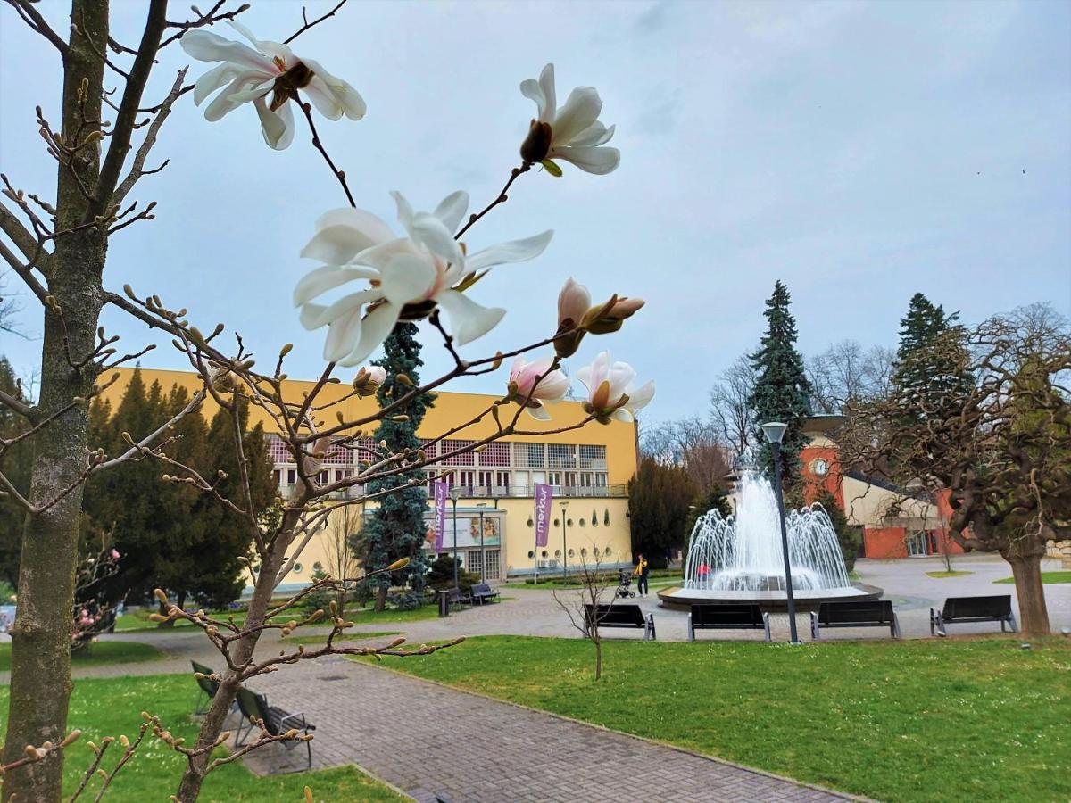 Apartman Modena Lux Vrnjačka Banja Dış mekan fotoğraf